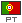 Portugese Language